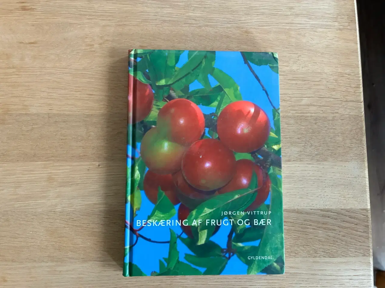 Billede 1 - Beskæring af frugt og bær