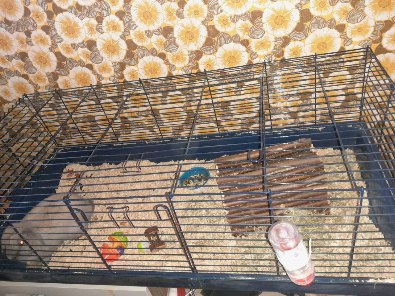 Billede 4 - Kanin med bur