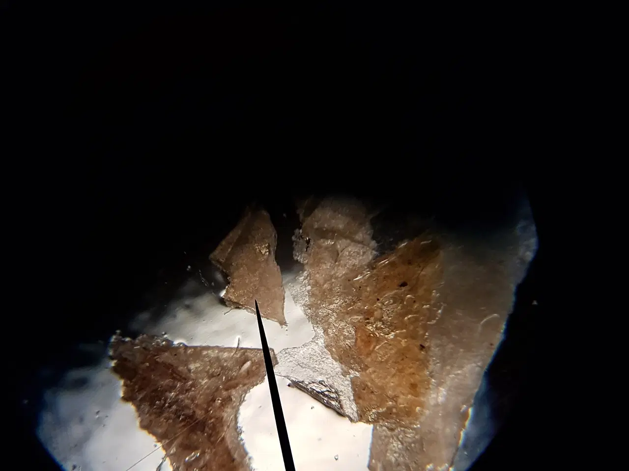 Billede 5 - Microskop mærke CE  