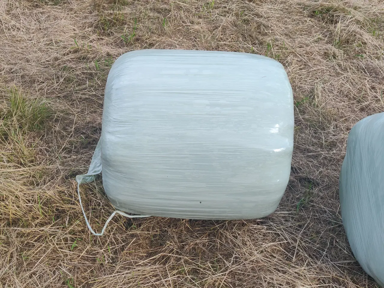 Billede 2 - Ø 60 Wrap baller