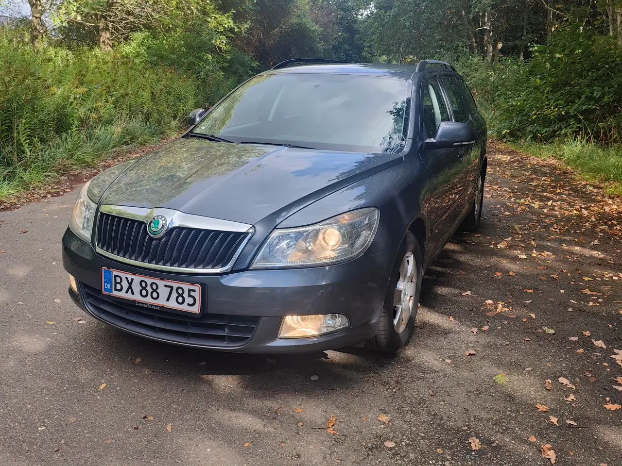 Billede 2 - Skoda Octavia Combi 