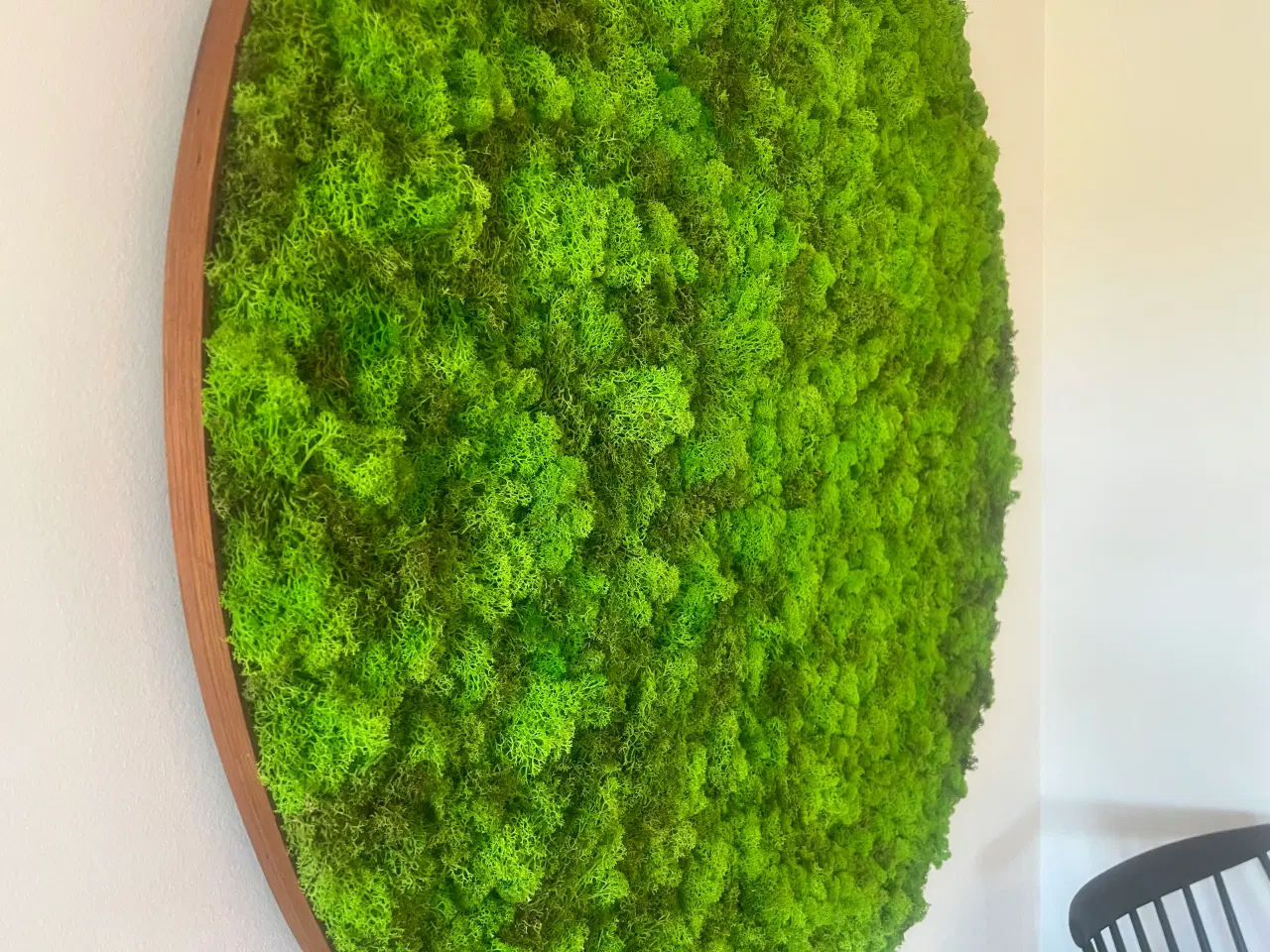 Billede 19 - Mos billeder vi laver 