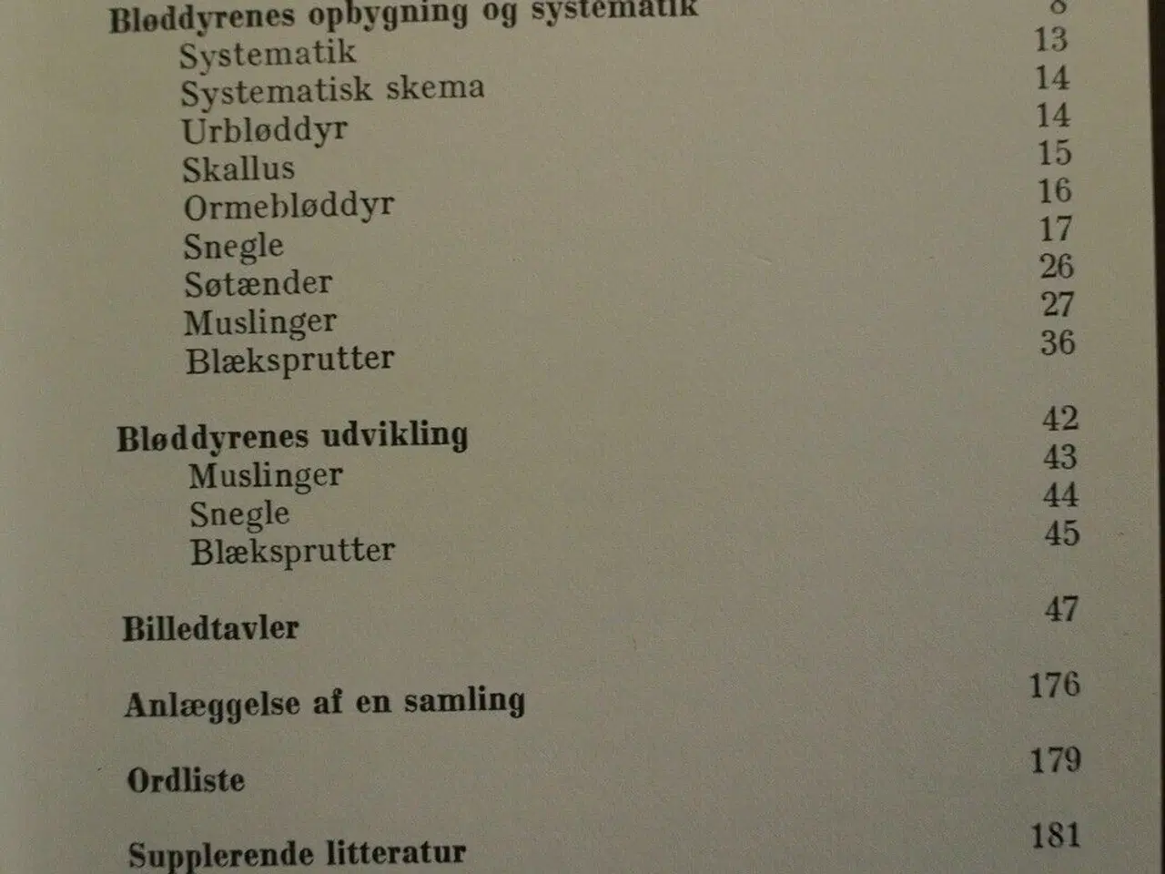 Billede 2 - snegle og muslinger fra havet, Af j. lellak, emne: