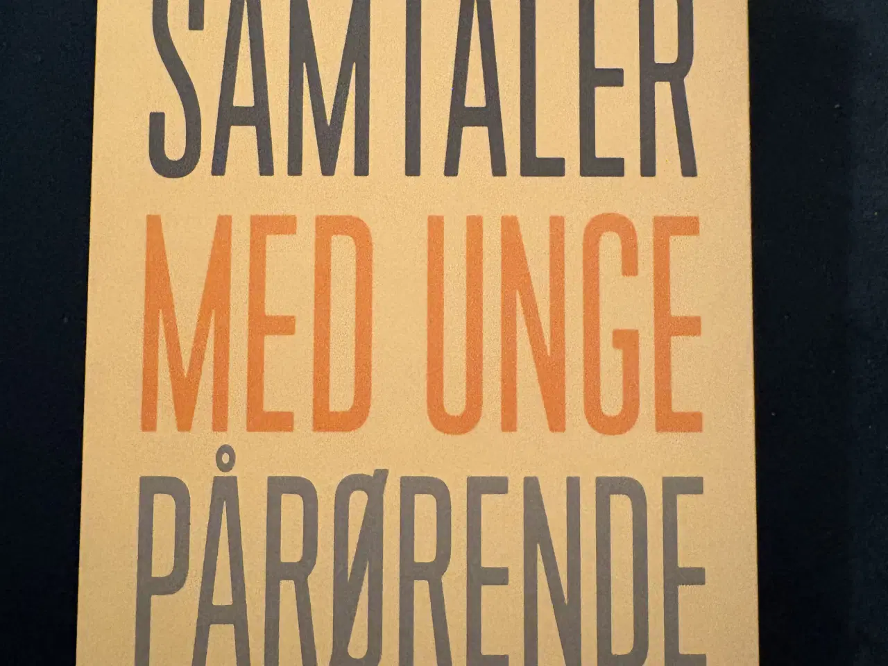 Billede 1 - Samtaler med unge 