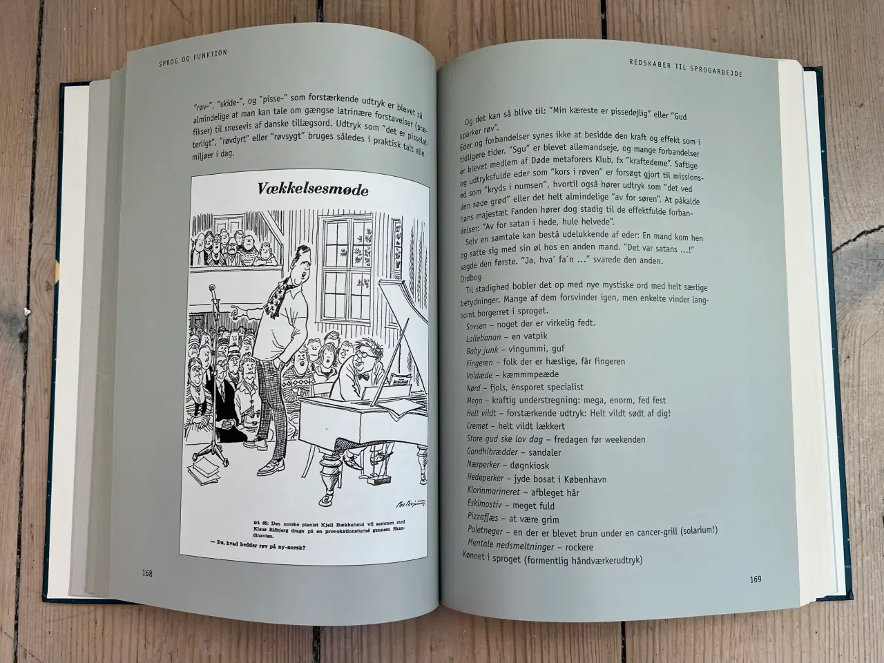 Billede 5 - Sprogets Univers Af Niels Holck