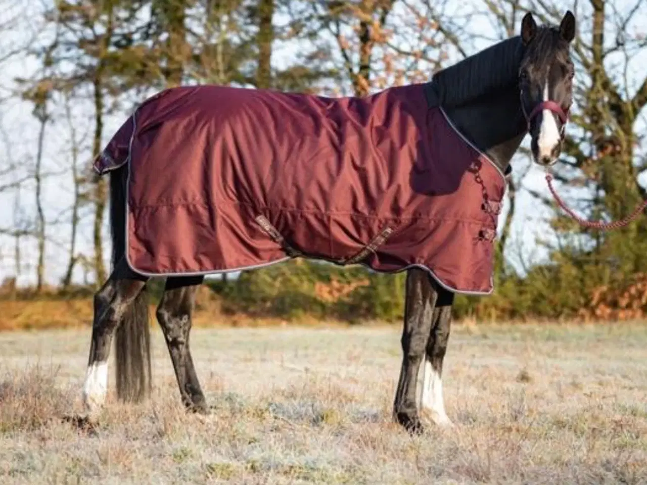 Billede 1 - Slidstærkt udedækken str 125 200g