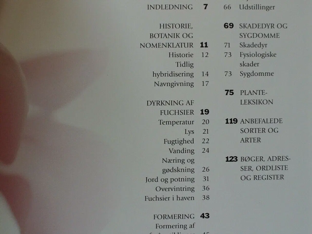 Billede 2 - fuchsia. håndbog og planteleksikon, Af david clark