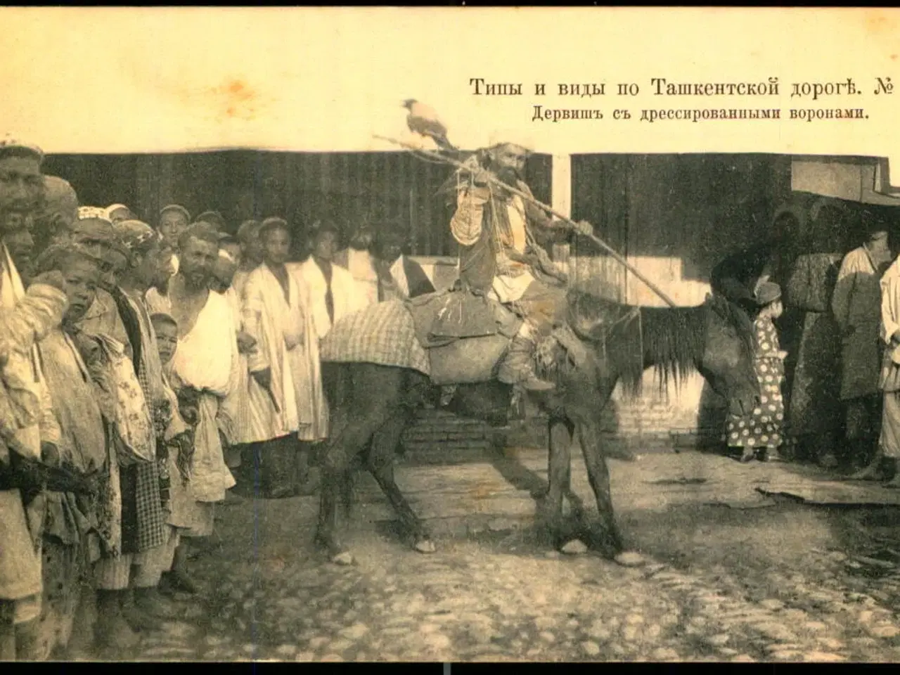 Billede 1 - Vejen til Tasjkent - Dervish med trænede ravne - Ubrugt