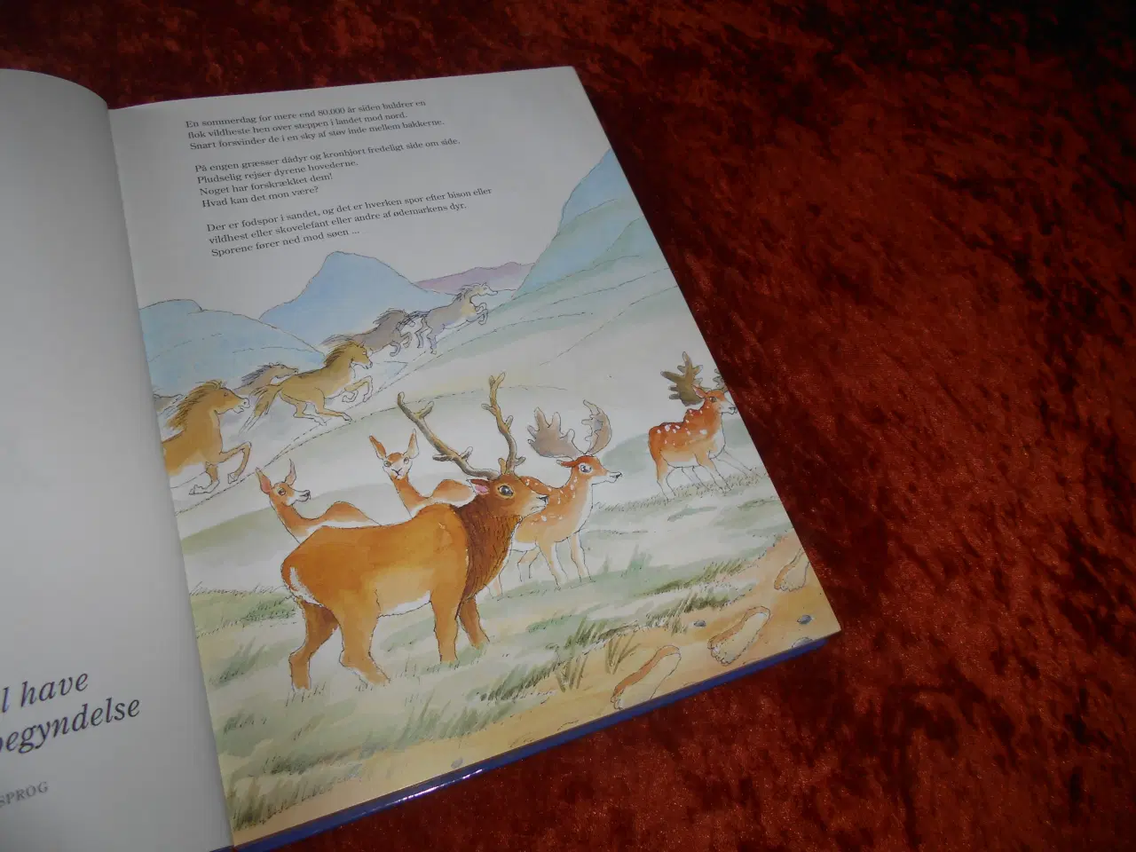 Billede 2 - Børnenes Danmarkshistorie,  Nils Hartmann