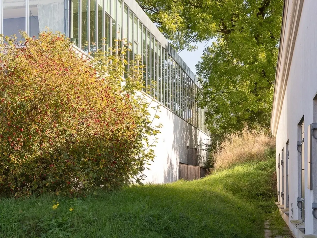 Billede 4 - Lager på Quintus Bastion