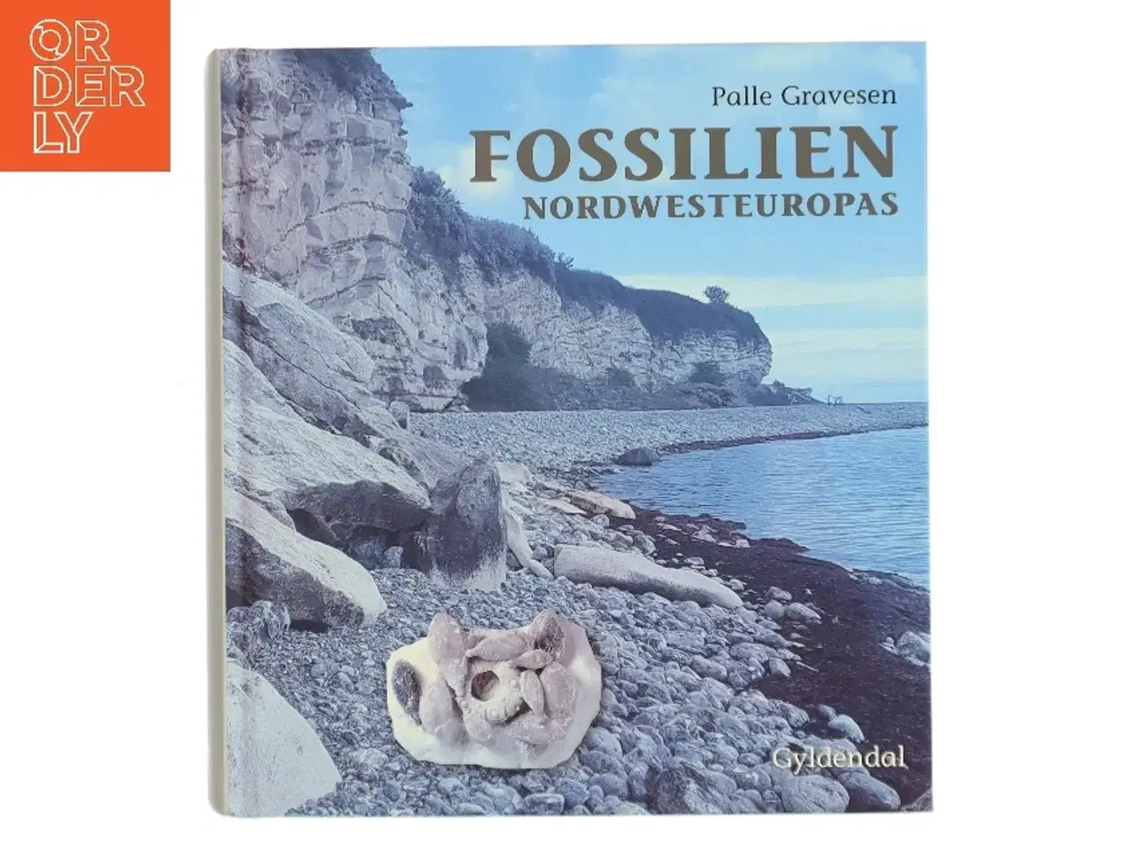 Billede 1 - Fossilien Nordwesteuropas af Palle Gravesen (Bog)