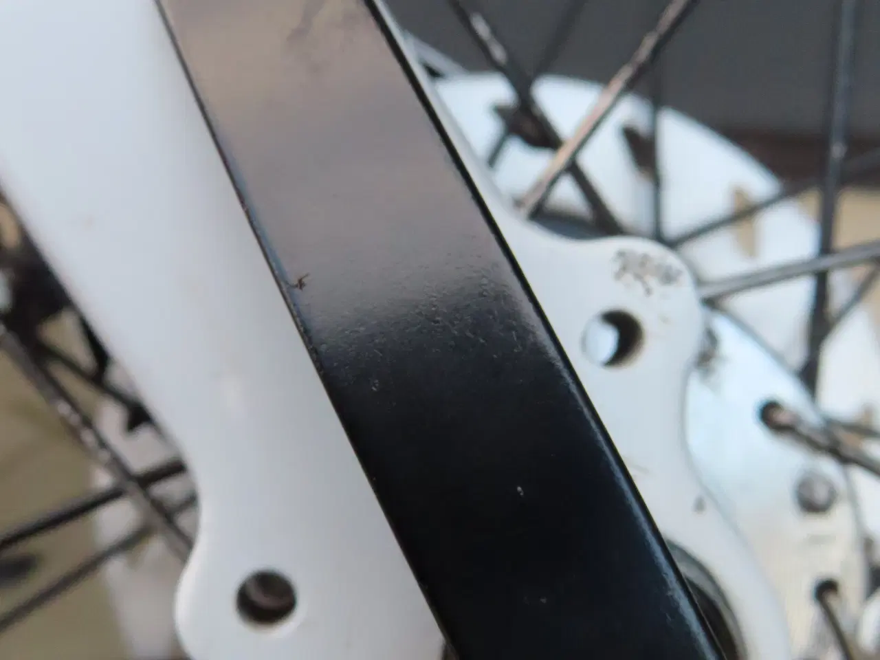 Billede 14 - RESERVERET TIL PÅ FREDAG