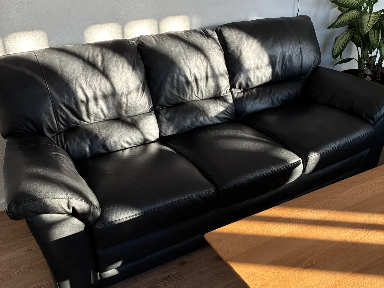 Billede 2 - Sofa 2 + 3 sælges