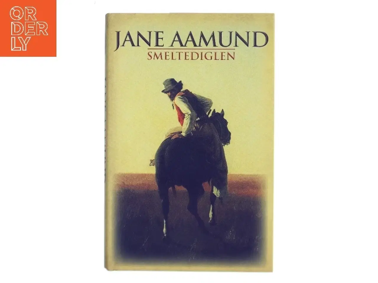 Billede 1 - Smeltediglen : andet bind i slægtskrøniken om de dansk-argentinske indvandrere : roman af Jane Aamund (Bog)