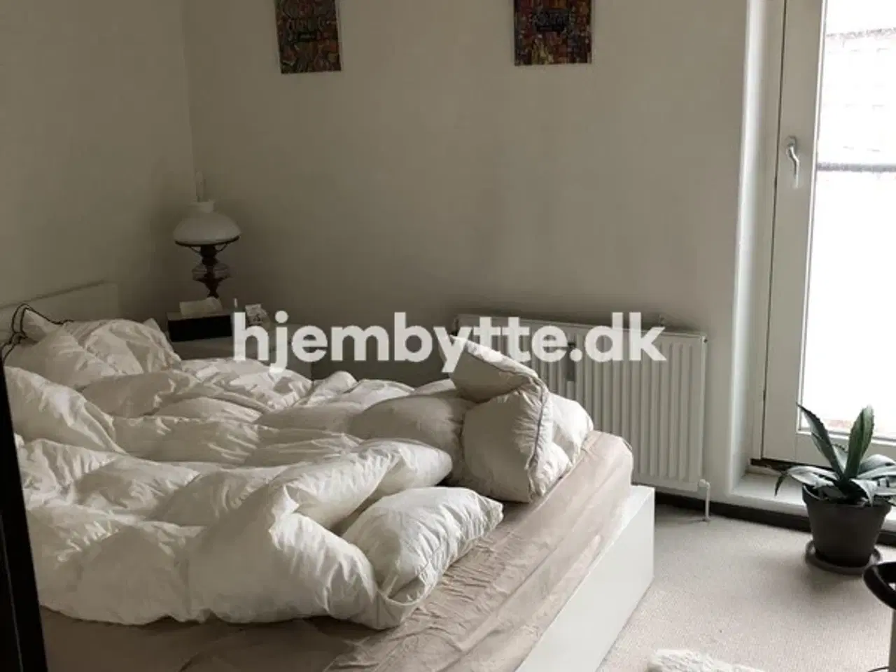 Billede 7 - Hjembytte - Jagtvej