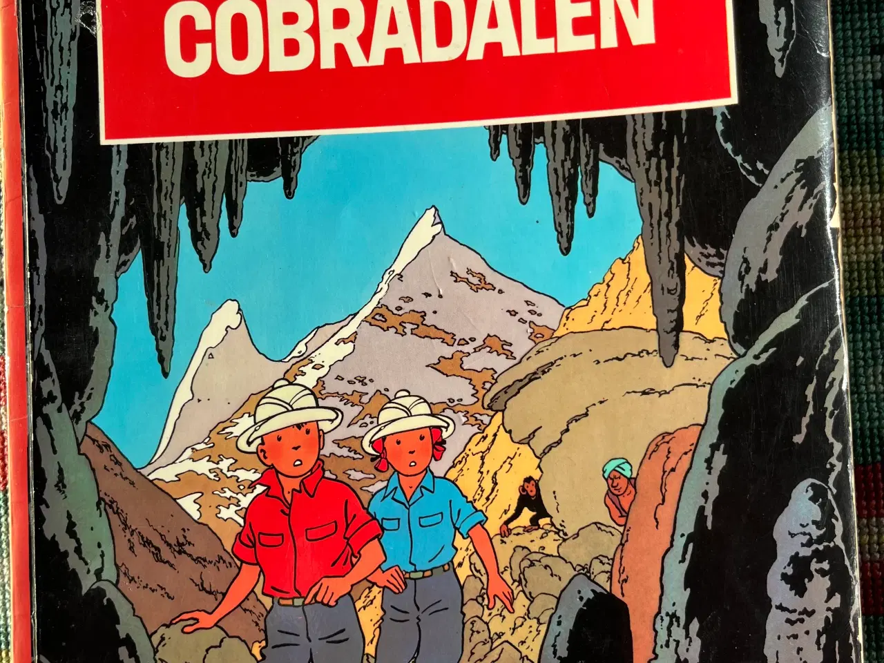 Billede 1 - Cobradalen