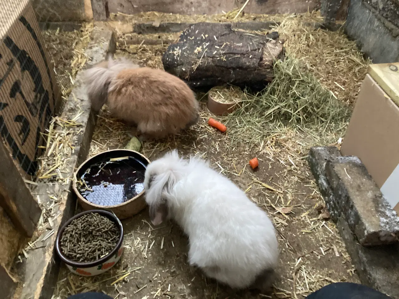 Billede 3 - 2 Søstre Bortgives Sammen