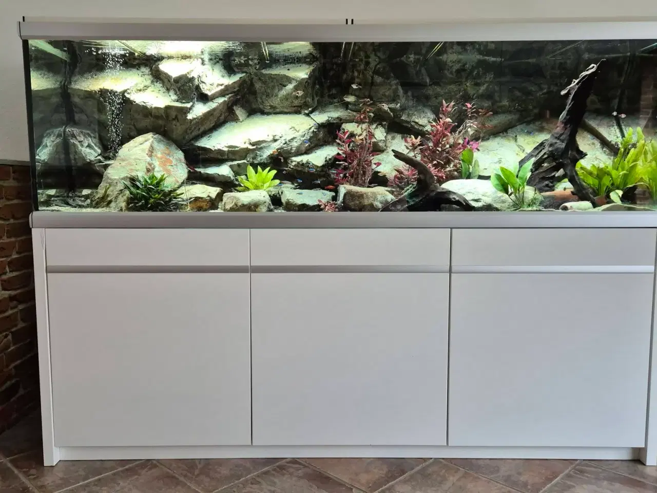 Billede 1 - 720 L akvarium m. beboere