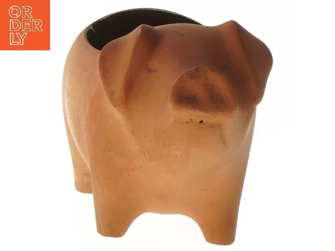 Billede 2 - Karsegris fra Knabstrup