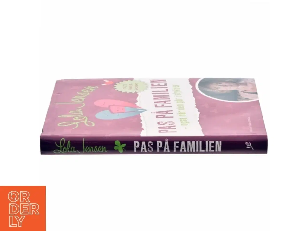 Billede 2 - Pas på familien : - også når den går i stykker af Lola Jensen (Bog)