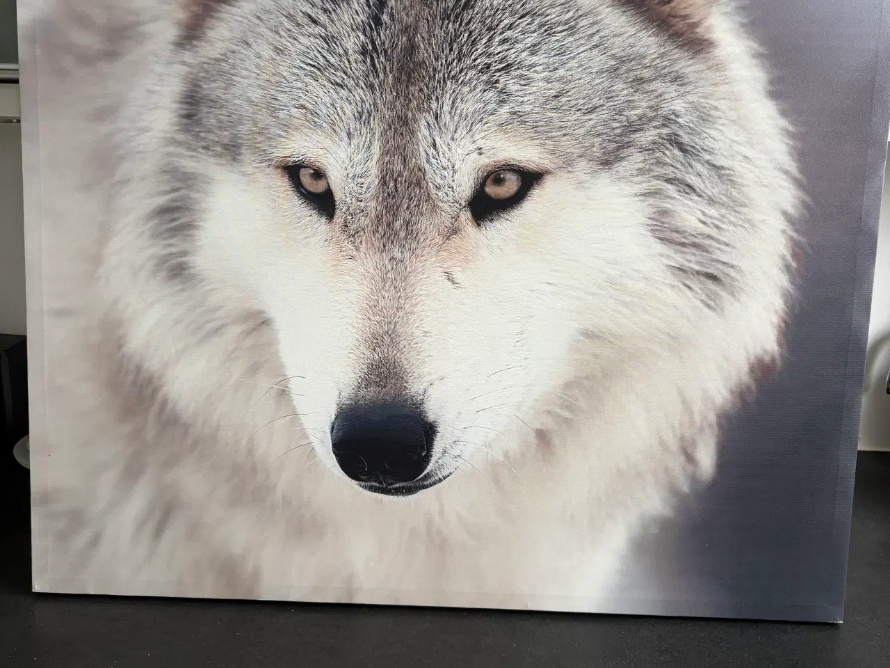 Billede 1 - Billede/ Tryk