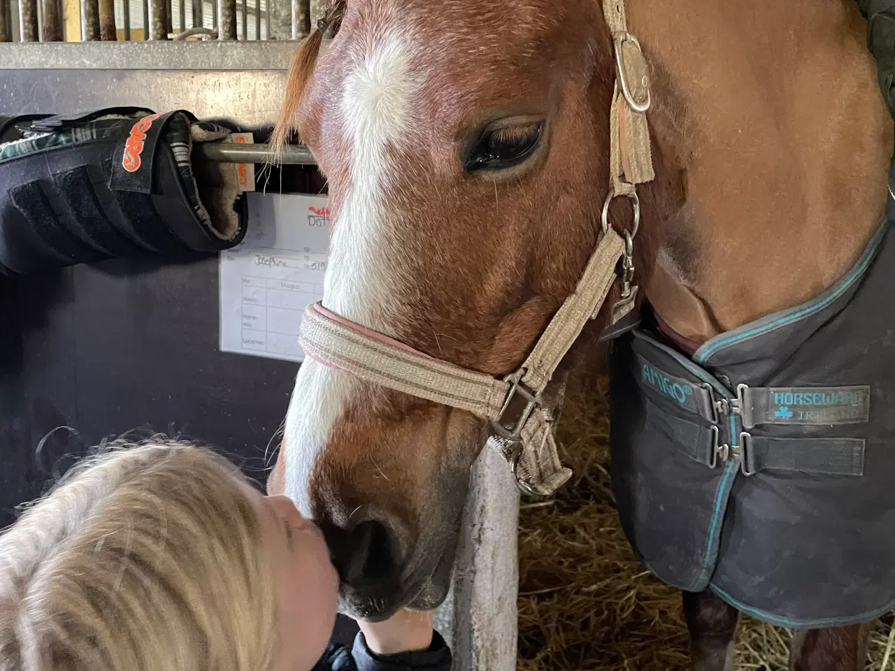 Billede 4 - Skønneste børne pony