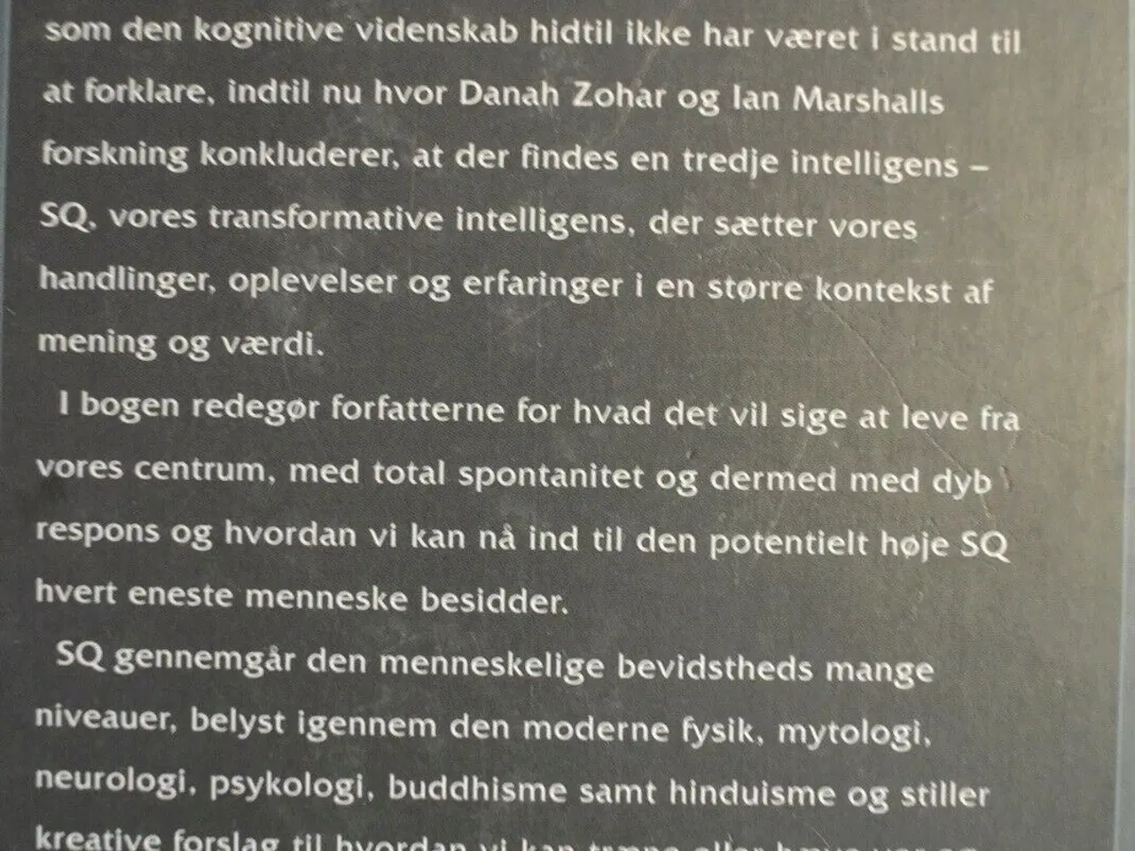 Billede 4 - spirituel intelligens - den ultimative intelligens