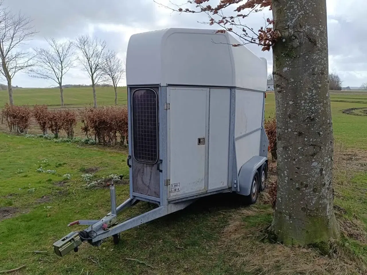 Billede 2 - 2.600 kg hestetrailer - Stærk svensk kvalitet