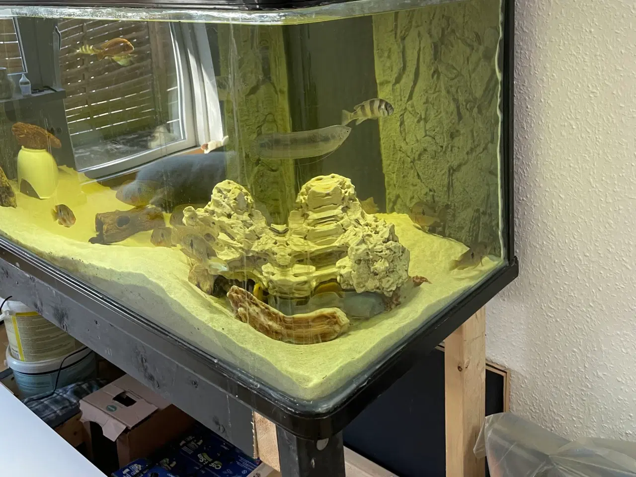 Billede 6 - 600 Liter akverie