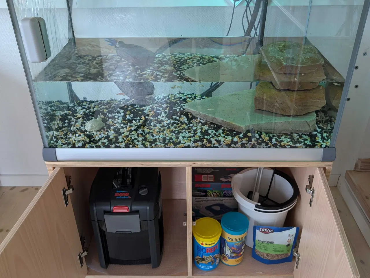 Billede 2 - Sumpskildpadde med akvarium 