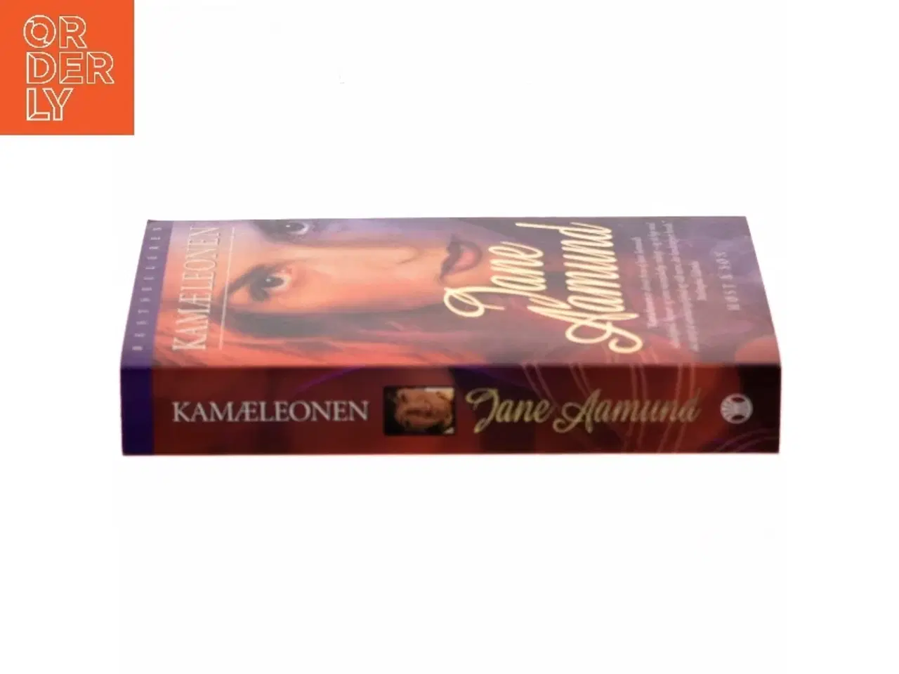 Billede 2 - Kamæleonen : roman om en kvinde, der er farlig for mænd, men farligst for sig selv af Jane Aamund (Bog)