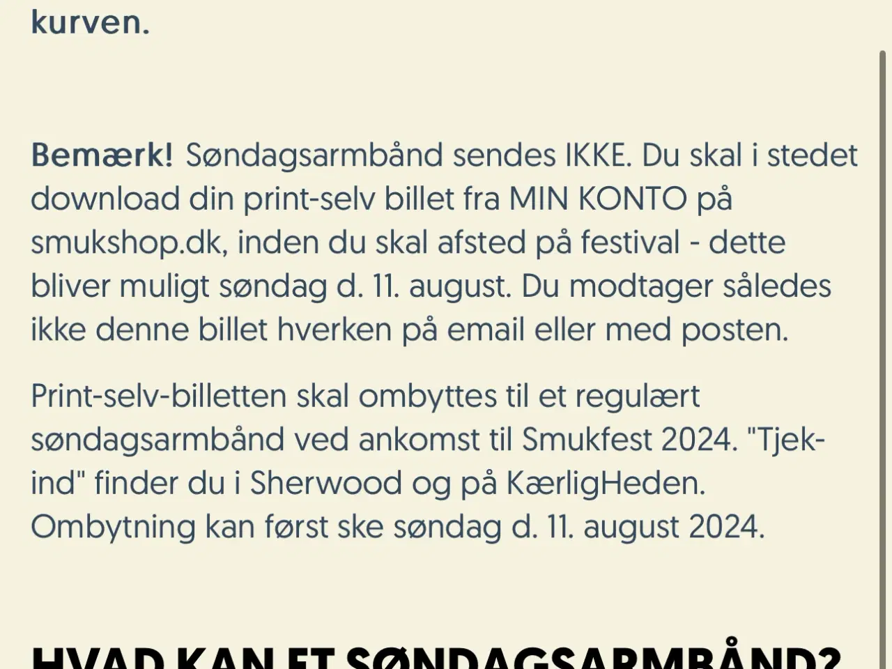 Billede 2 - Smukfest armbånd søndag