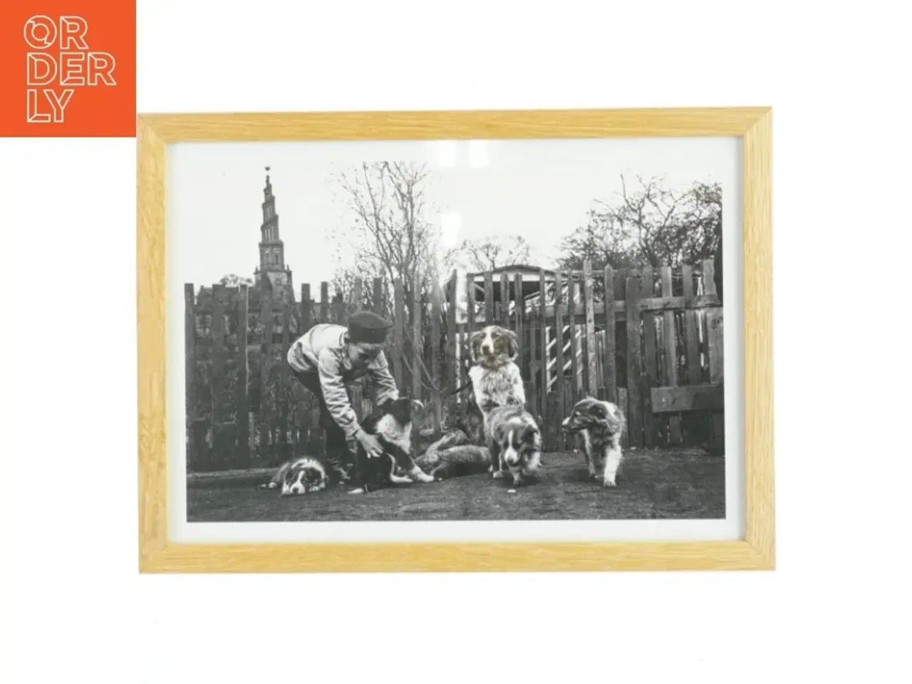 Billede 1 - Indrammet sort-hvid fotografi fra Nielsen (str. 21x29,7 cm)