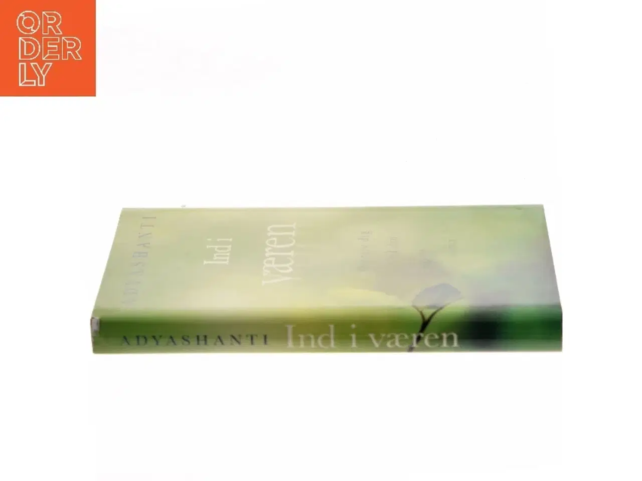 Billede 2 - Ind i væren : overgiv dig til din sande natur af Adyashanti (Bog)