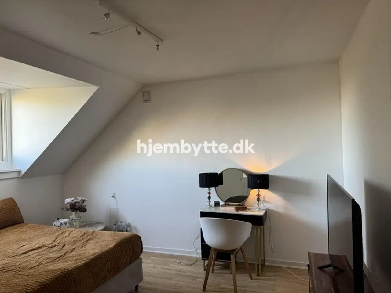 Billede 7 - Hjembytte - Buskager