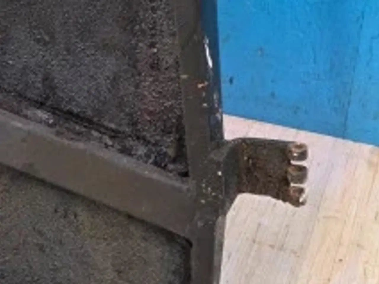 Billede 4 - Valmet 505 Dør V.  70025800