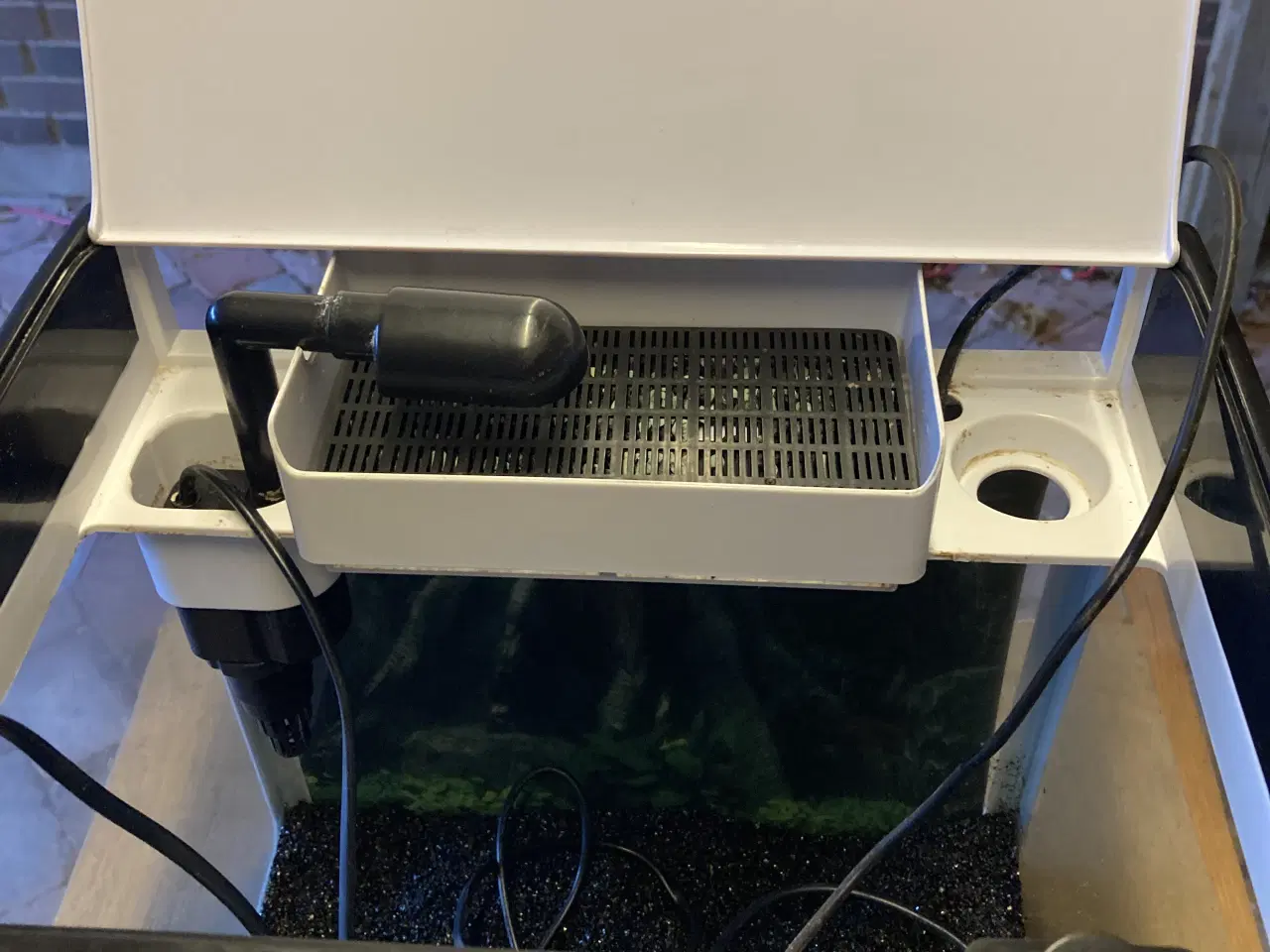 Billede 2 - Lille akvarium