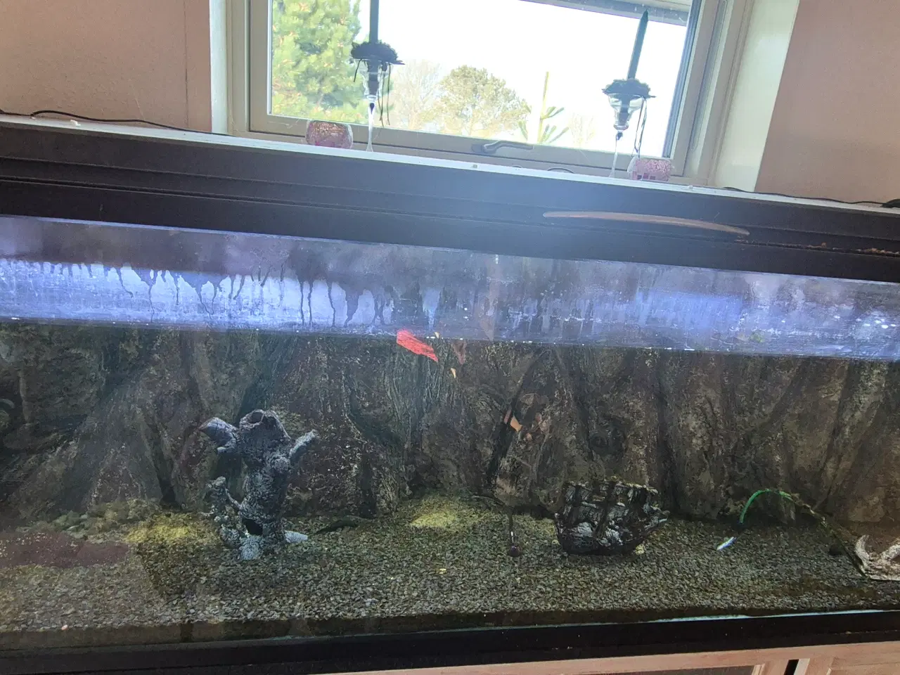 Billede 5 - 660L akvarie med 3D baggrund