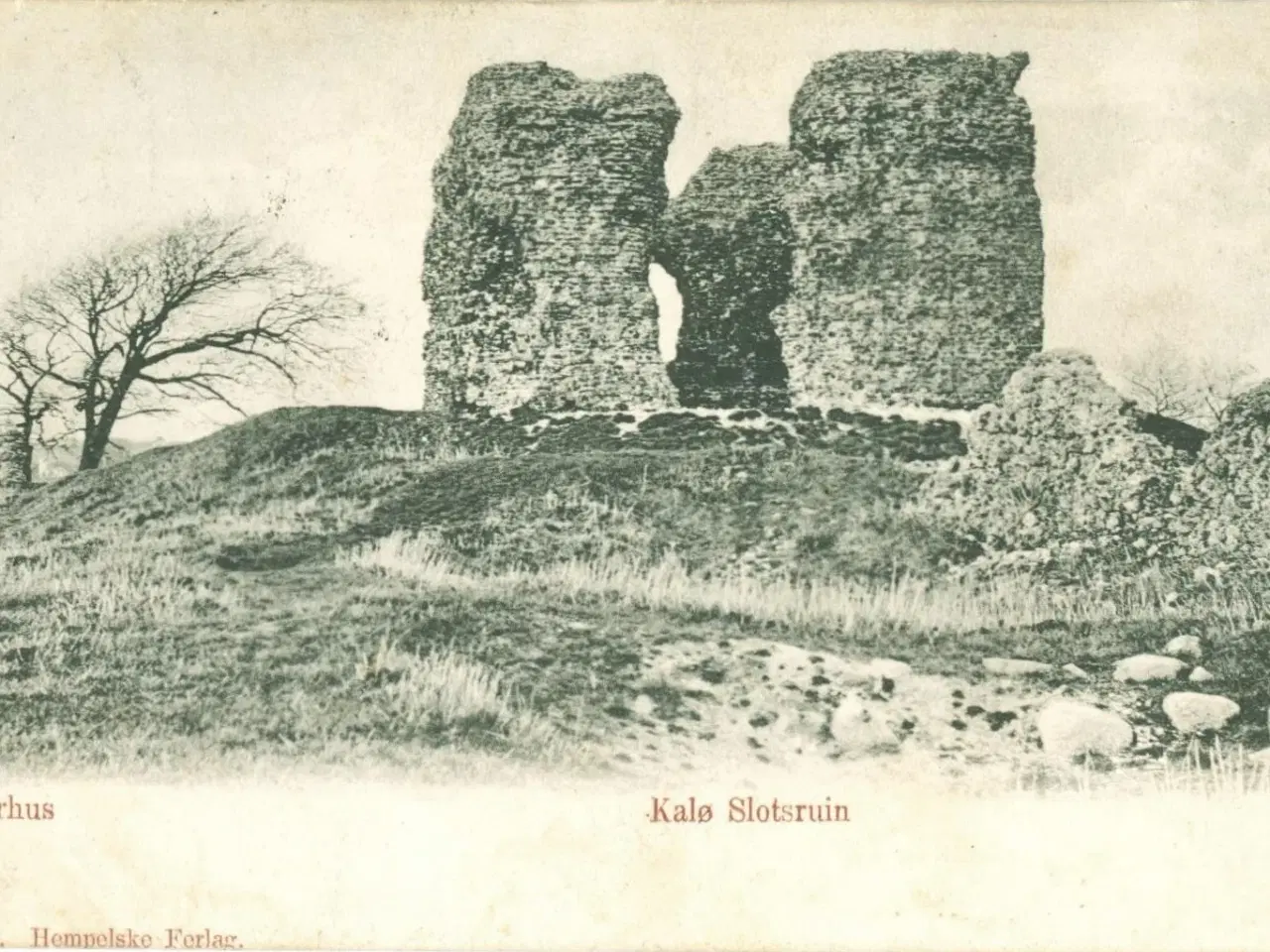 Billede 1 - Rønde. Kalø Slotsruin, 1910