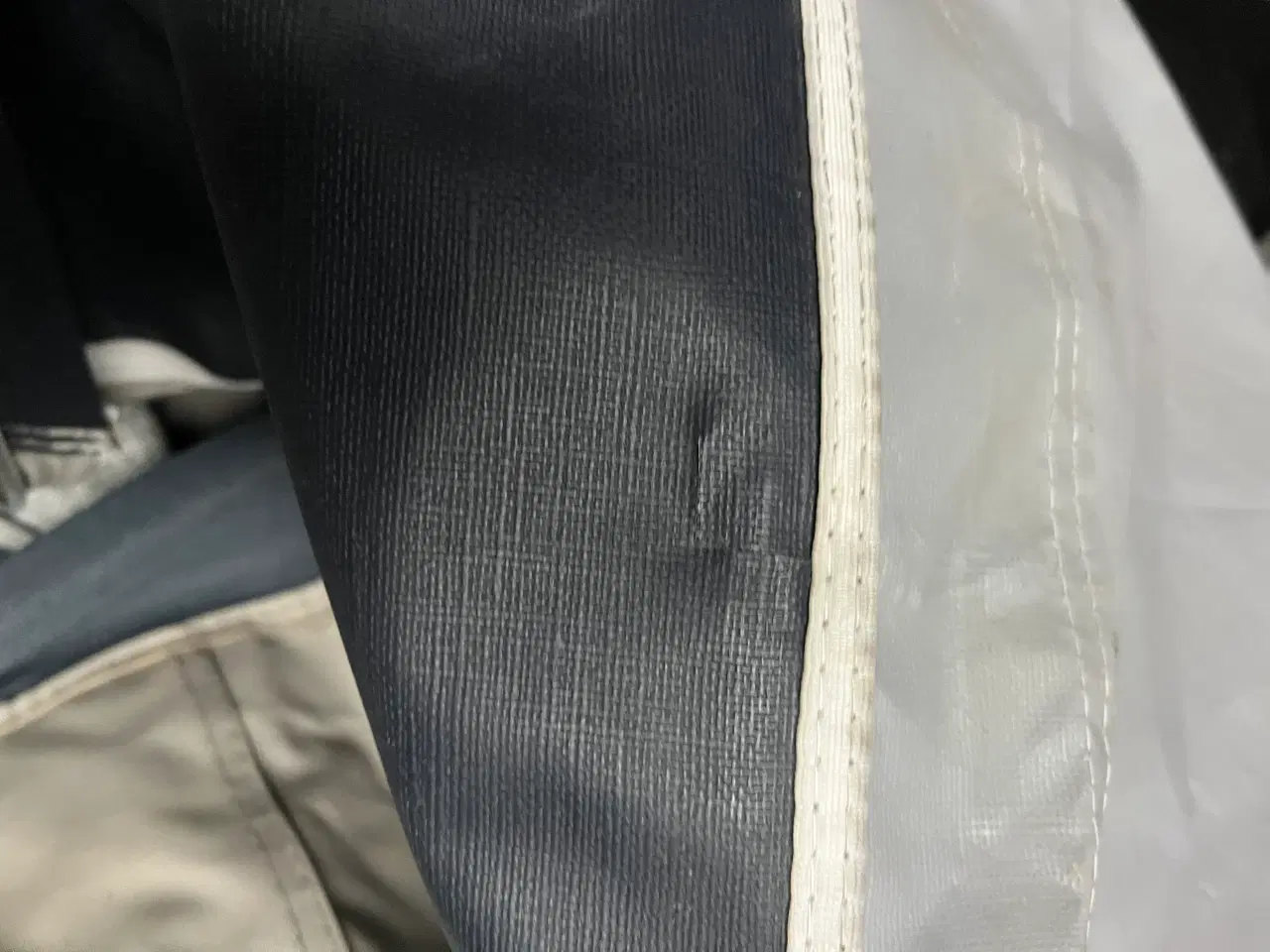 Billede 9 - Isabella Commodore Alpha