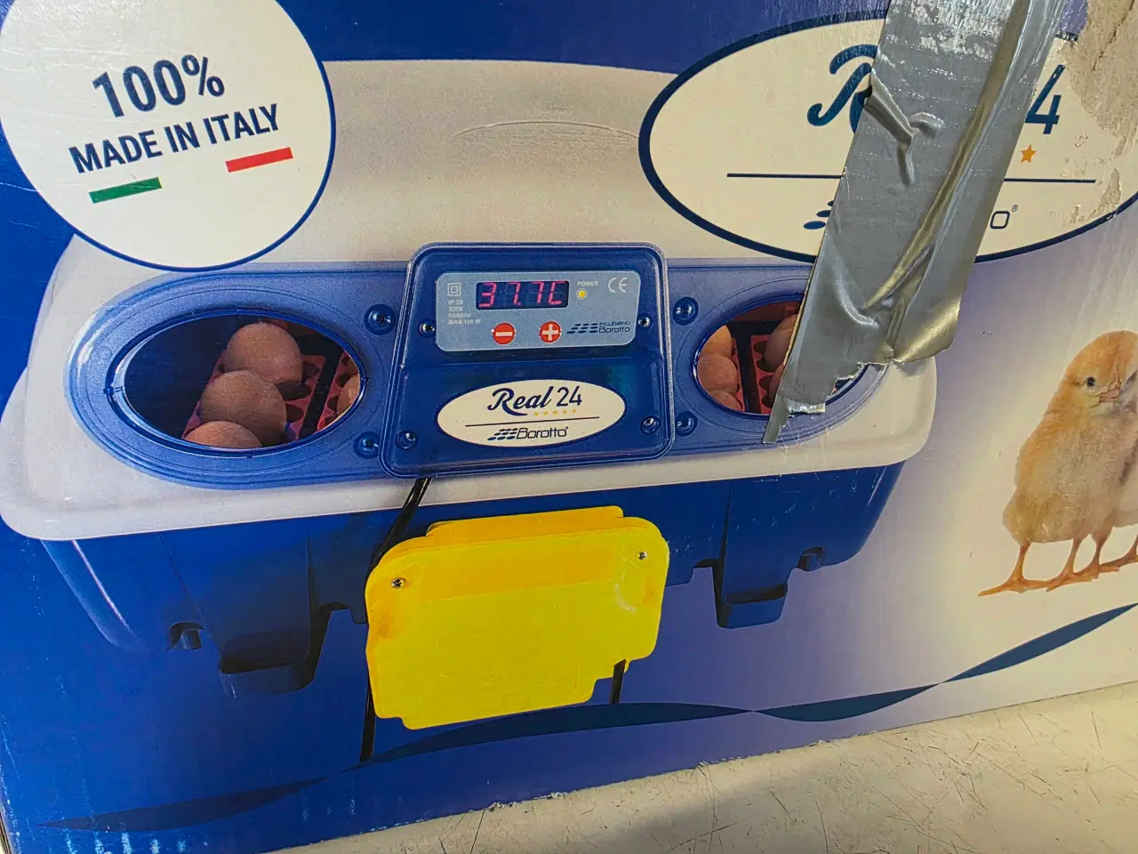 Billede 2 - Borotto Real 24 rugemaskine 