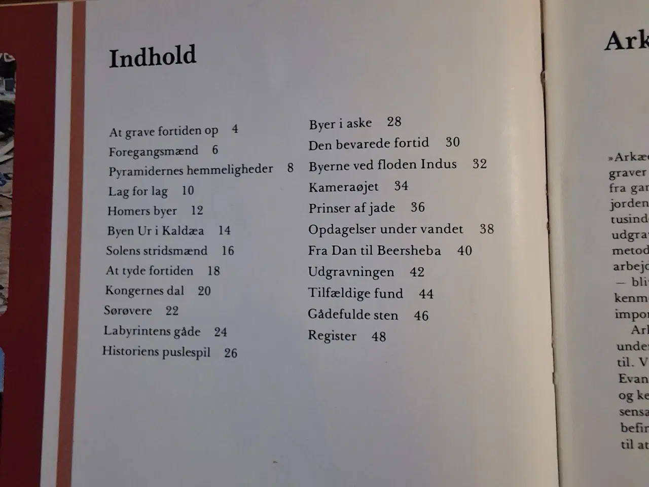 Billede 3 - PLETBOGEN, Henrik Berg, En rensevejledning