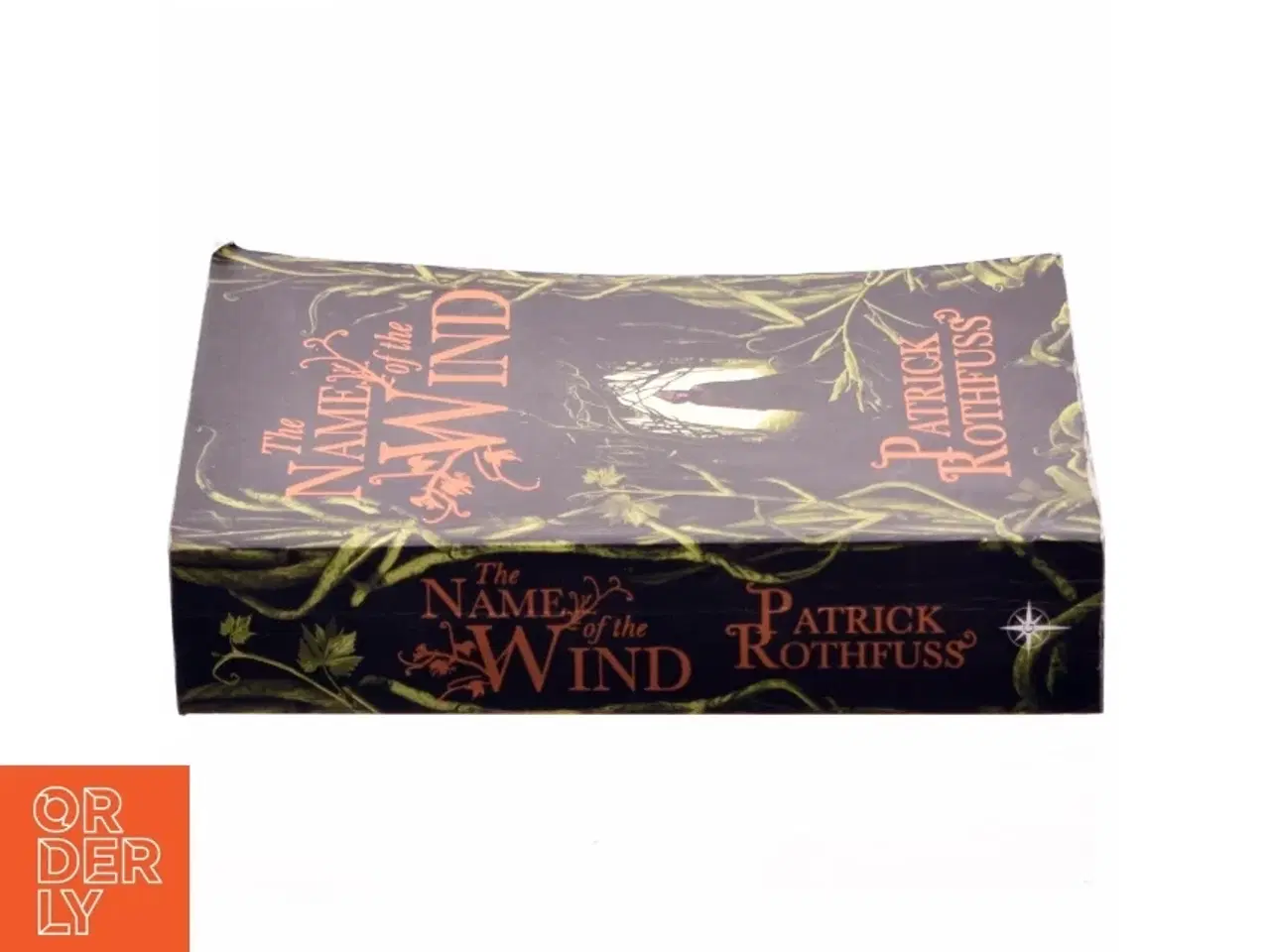 Billede 2 - The name of the wind af Patrick Rothfuss (Bog)