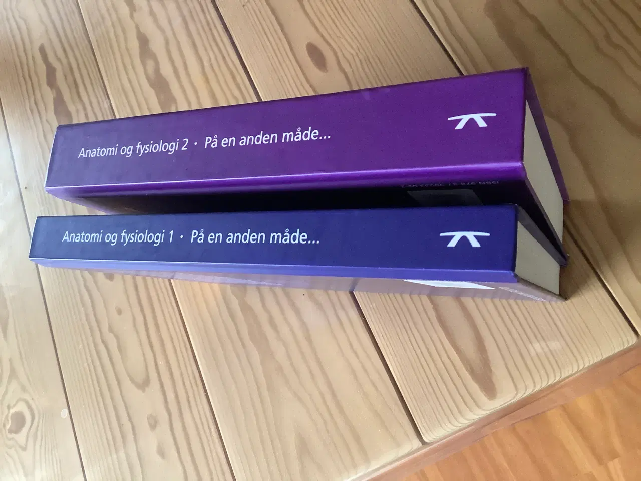 Billede 2 - Anatomi og fysiologi