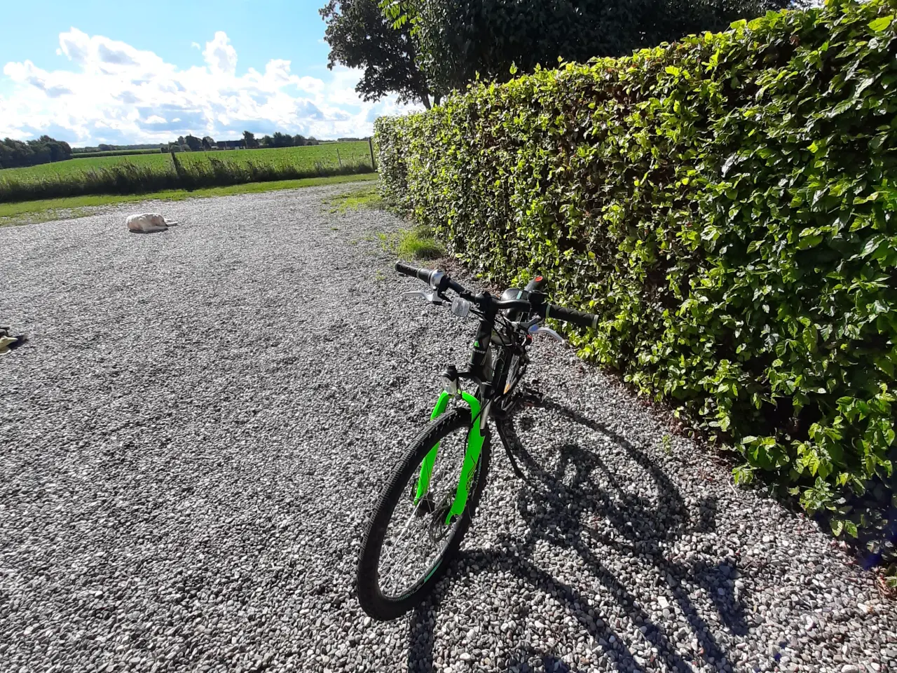 Billede 2 - Kildernes Mountainbike 24"