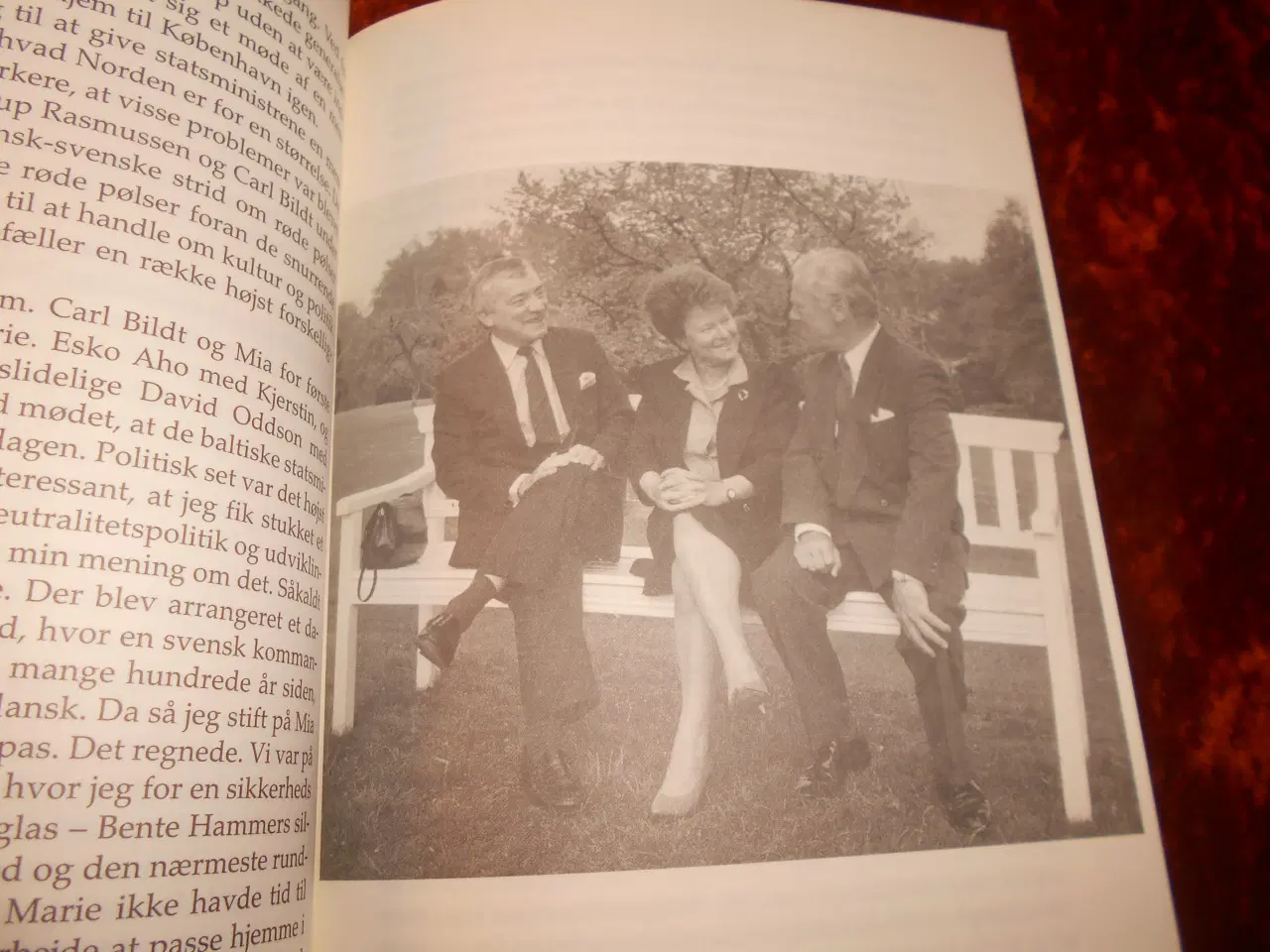 Billede 2 - Gift med Gro, Arne Olav Brundtland, 