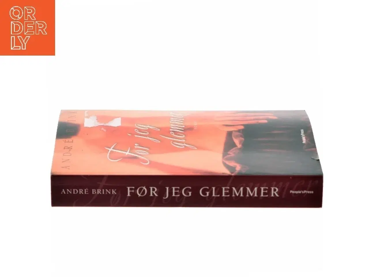 Billede 2 - Før jeg glemmer : roman af André Brink (Bog)