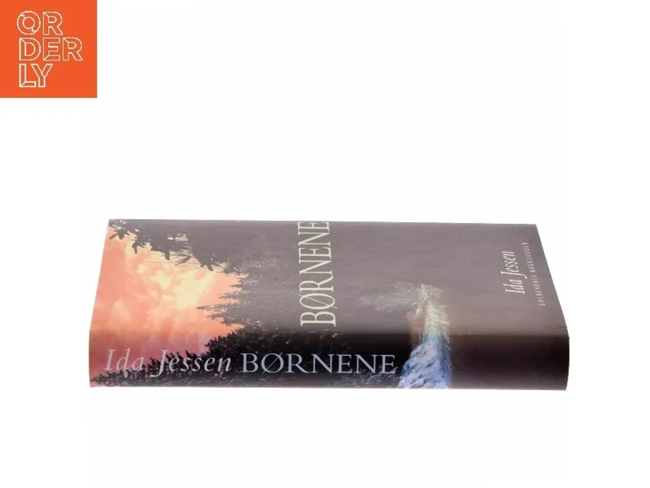 Billede 2 - Børnene af Ida Jessen (Bog)