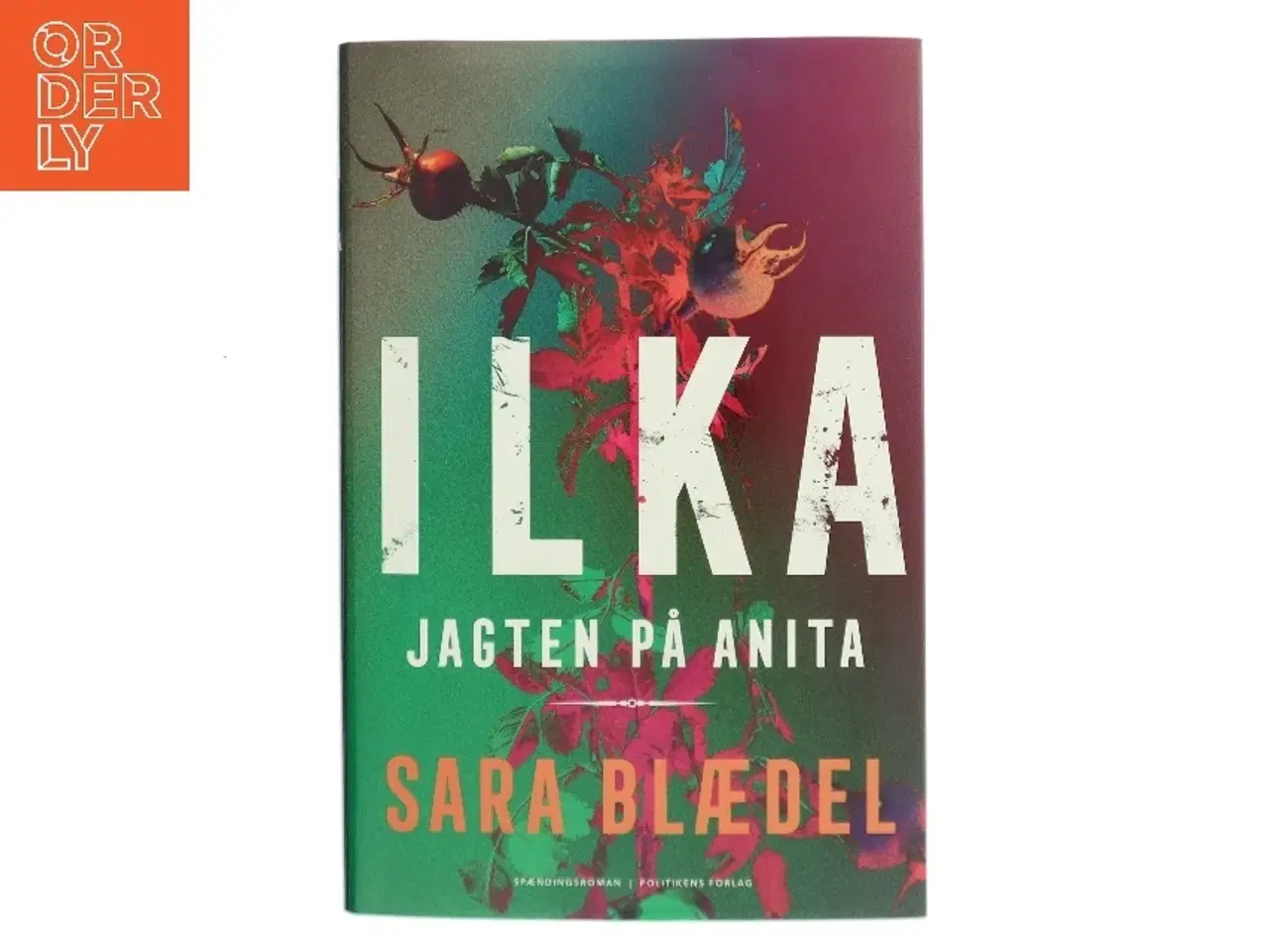Billede 1 - Jagten på Anita : spændingsroman af Sara Blædel (Bog)