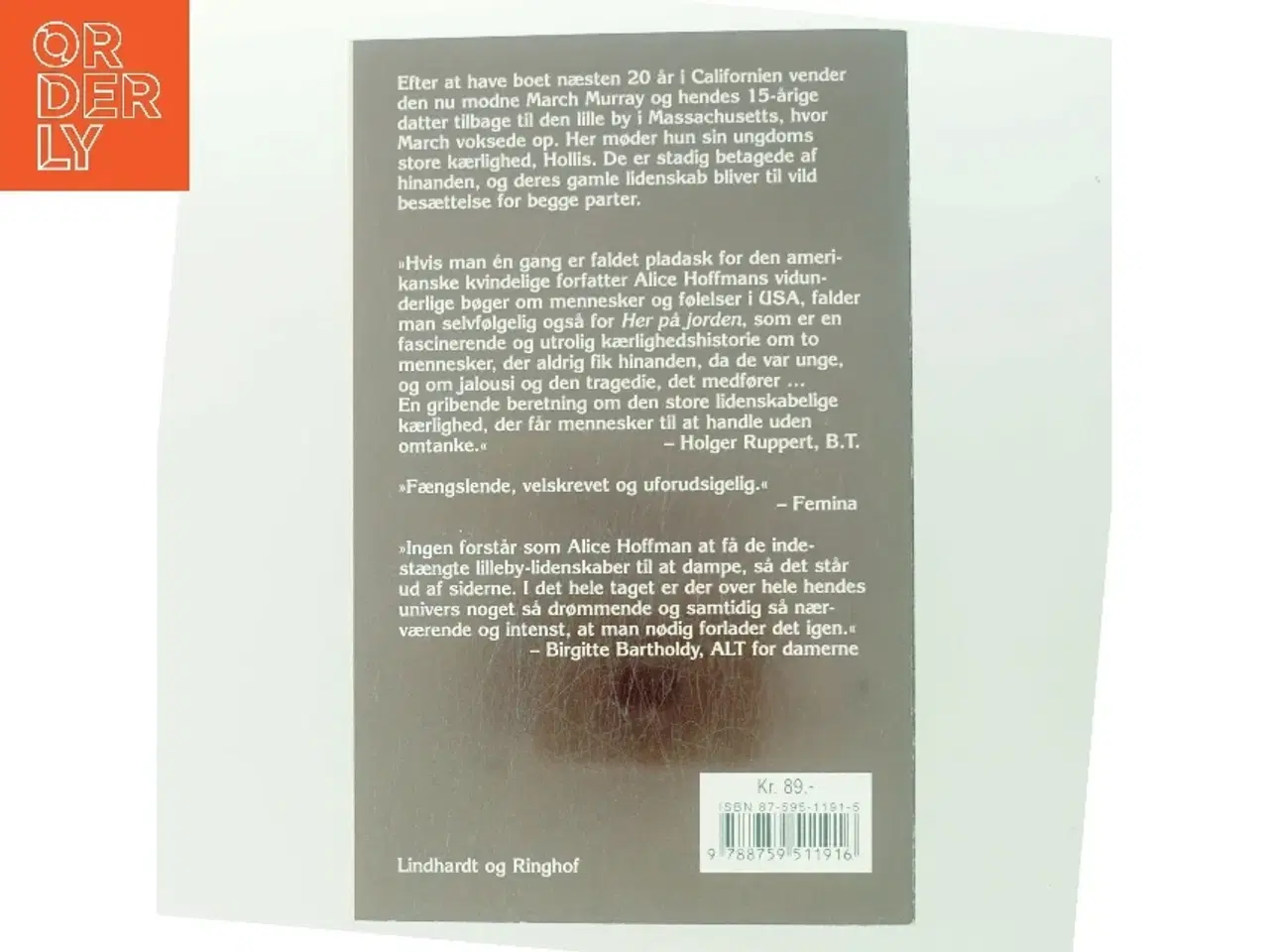 Billede 3 - Her på jorden af Alice Hoffman (Bog)